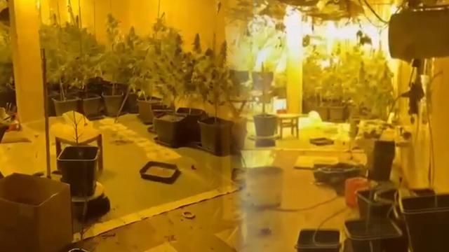Uyuşturucu serası kurmuşlar! Operasyon anında görüntülendi