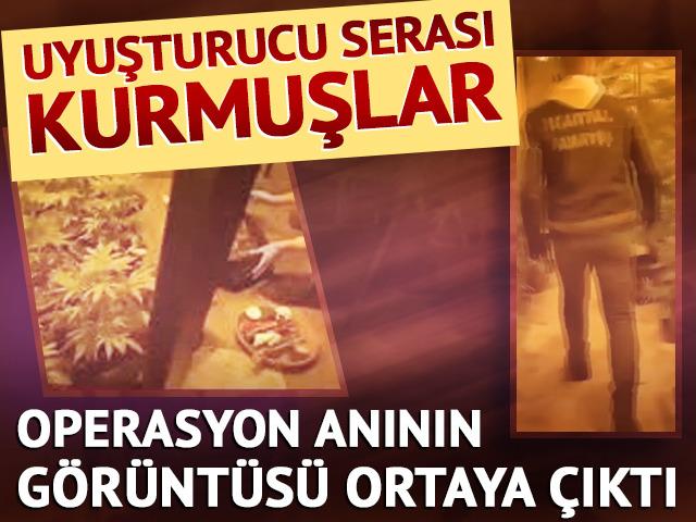 Uyuşturucu serası kurmuşlar! G&ouml;r&uuml;nt&uuml;ler dikkat &ccedil;ekti
