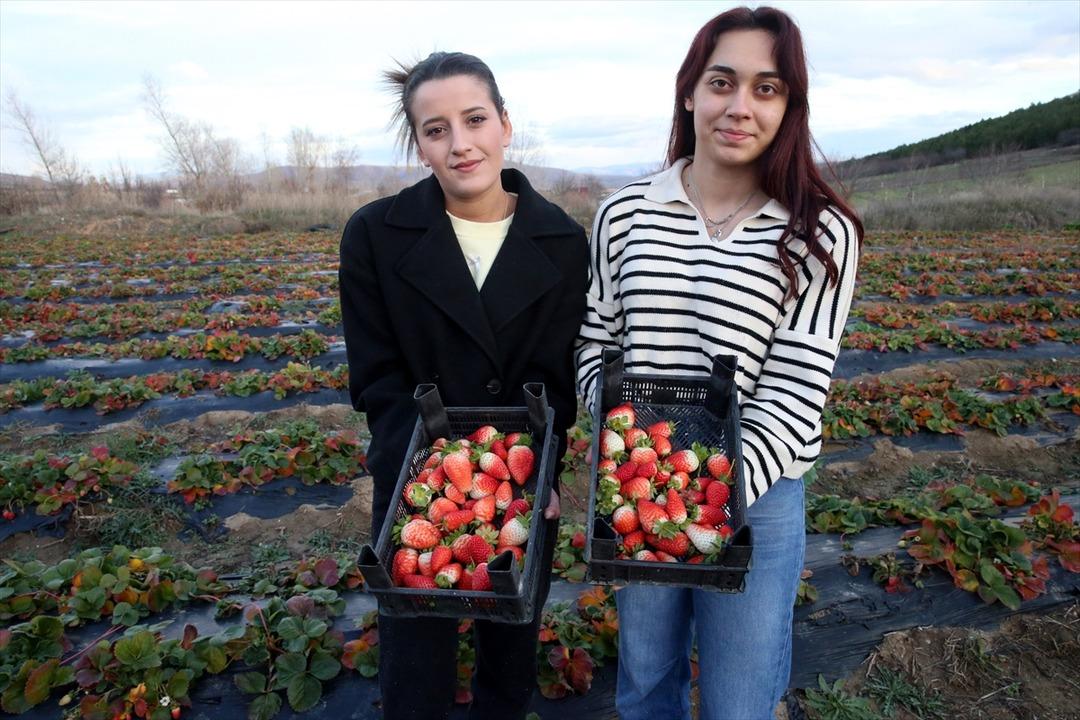 Hobisiydi  Aşırı derecede talep var  Memurken emekli olunca kiralayıp başladı 9