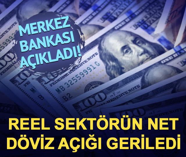 Merkez Bankası a&ccedil;ıkladı! Reel sekt&ouml;r&uuml;n net d&ouml;viz a&ccedil;ığı ekimde geriledi