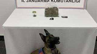 Şanlıurfa’da uyuşturucu operasyonu: 1 gözaltı