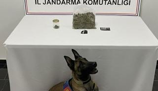 Şanlıurfa&rsquo;da uyuşturucu operasyonu: 1 g&ouml;zaltı