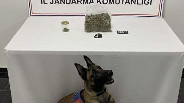 Şanlıurfa’da uyuşturucu operasyonu: 1 gözaltı