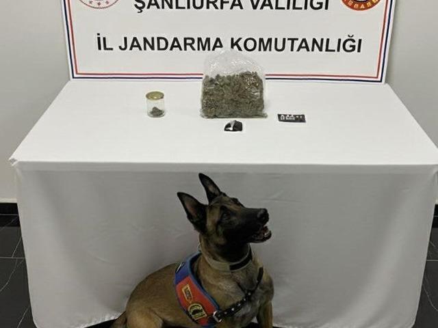 Şanlıurfa&rsquo;da uyuşturucu operasyonu: 1 g&ouml;zaltı