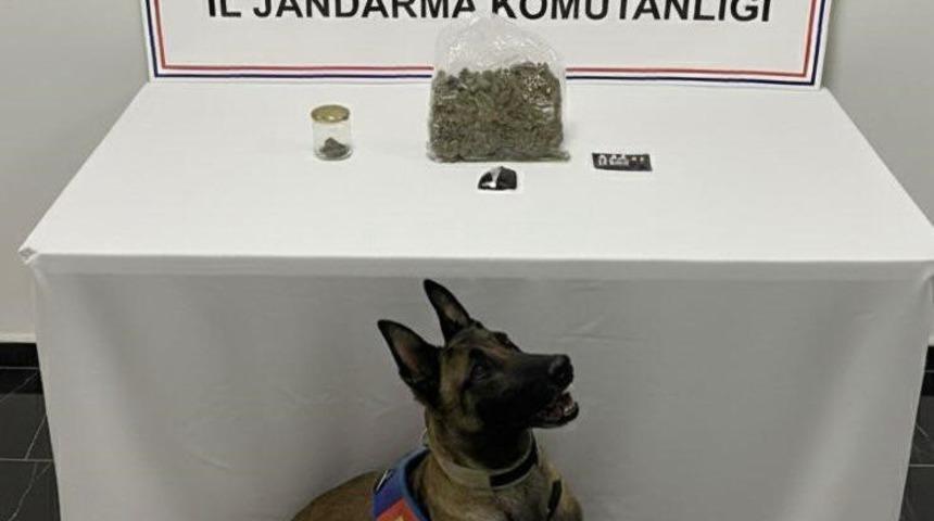 Şanlıurfa&rsquo;da uyuşturucu operasyonu: 1 g&ouml;zaltı