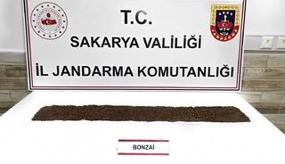 Jandarma uyuşturucuya ge&ccedil;it vermiyor: 1 tutuklama