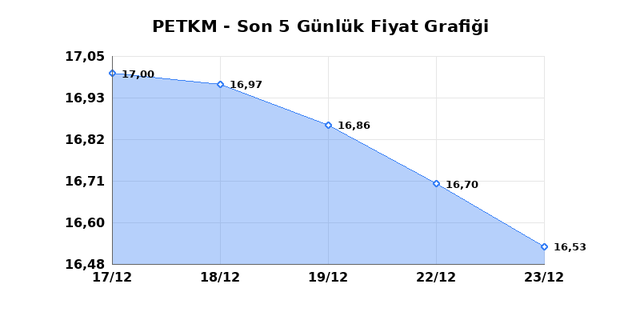 PETKİM PETROKİMYA (PETKM) 24 Aralık &Ccedil;arşamba 2025 G&uuml;nl&uuml;k Teknik Analiz 1