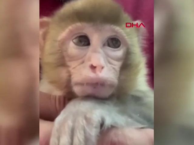 İhbar &uuml;zerine ortaya &ccedil;ıktı: Ekipler onun i&ccedil;in harekete ge&ccedil;ti