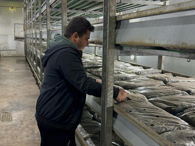 Memurluktan ayrılıp k&ouml;yde kurdu 'Bu t&uuml;r tesisler yaygınlaşıyor'