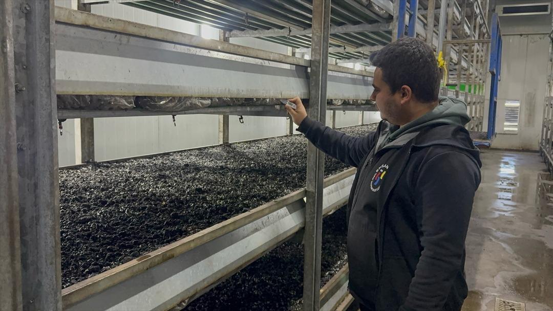 Memurluktan ayrılıp k&ouml;yde kurdu  Bu t&uuml;r tesisler yaygınlaşıyor  2