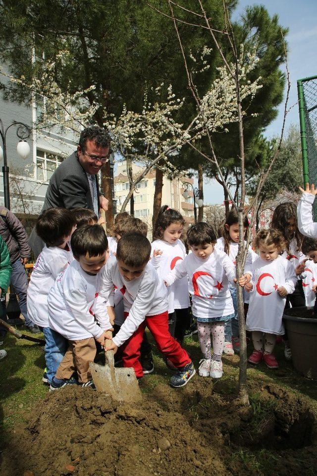 Atakum’da parklara meyve ağacı dikildi