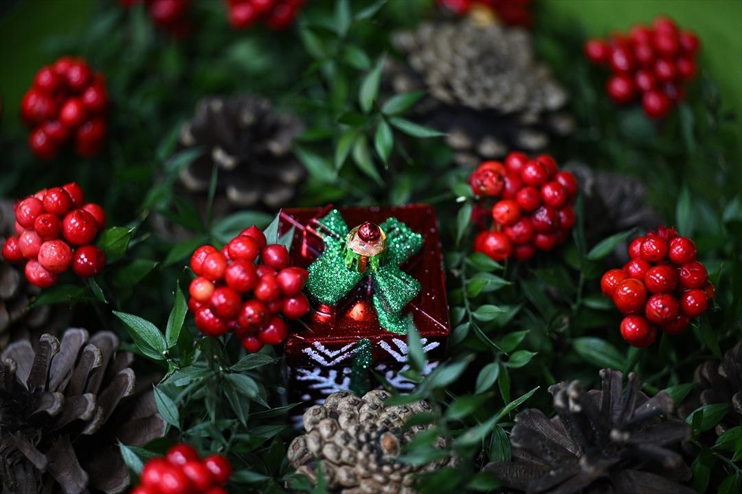 Parası olmayana para verdiğine inanıyorlar! 300 TL ye satılıyor 1