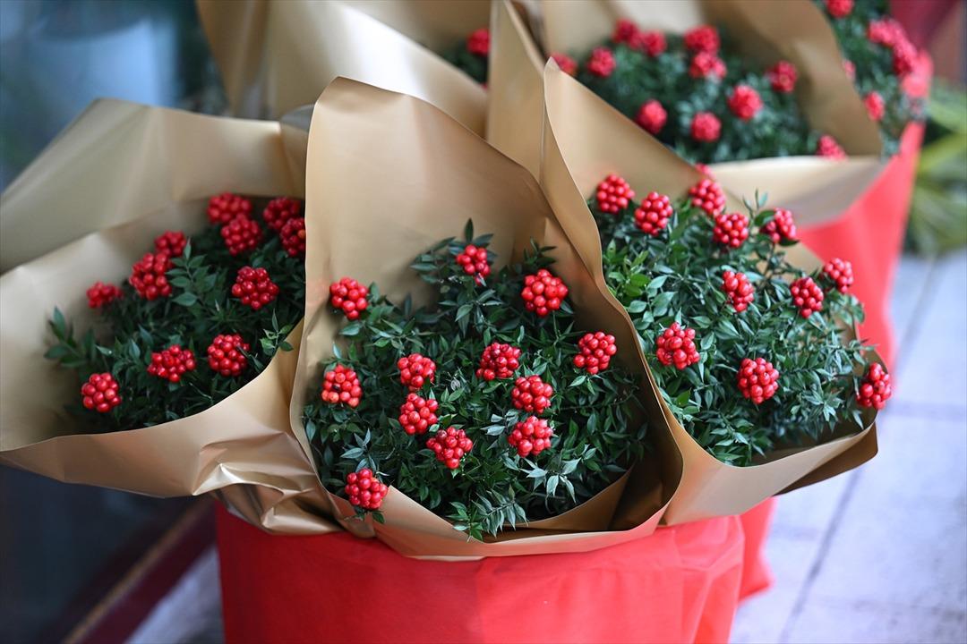 Parası olmayana para verdiğine inanıyorlar! 300 TL ye satılıyor 5