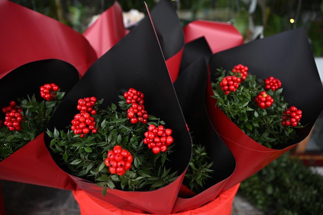 Parası olmayana para verdiğine inanıyorlar! 300 TL ye satılıyor 9