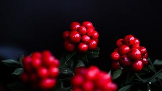 Parası olmayana para verdiğine inanıyorlar! 300 TL'ye satılıyor