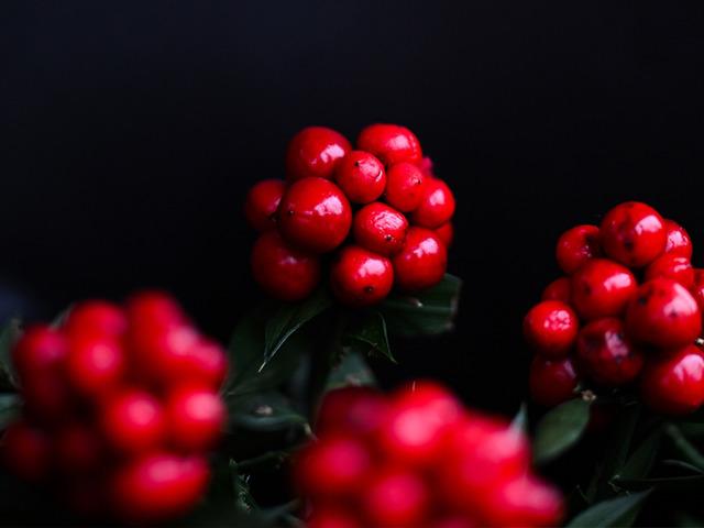 Parası olmayana para verdiğine inanıyorlar! 300 TL'ye satılıyor