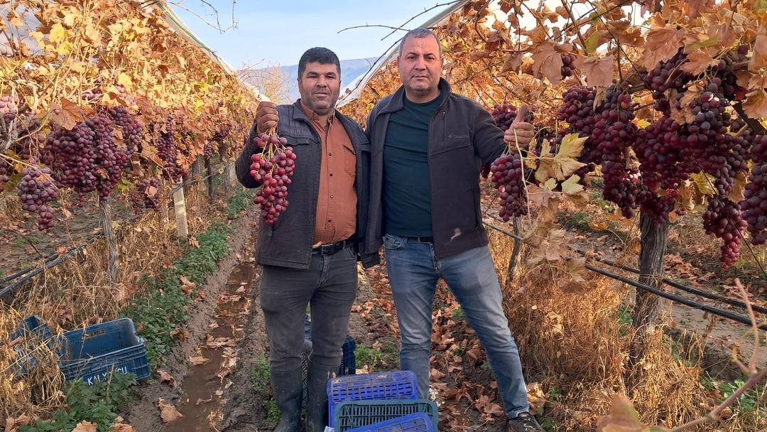 Pazarlara g&ouml;nderilmeye başlandı! Yoğun ilgi var 2