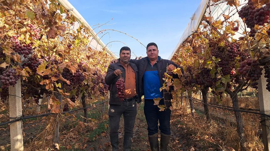 Pazarlara g&ouml;nderilmeye başlandı! Yoğun ilgi var