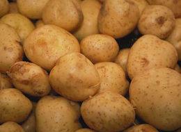 Patates 5 liraya koşuyor