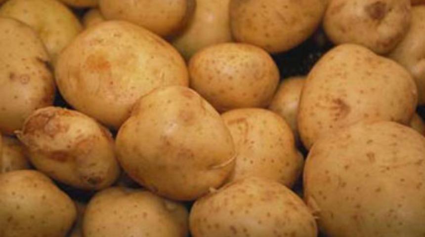 Patates 5 liraya koşuyor