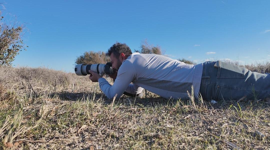 Nesli tehlikedeydi:  Saz horozu  G&ouml;ksu Deltası nda g&ouml;r&uuml;nt&uuml;lendi 3