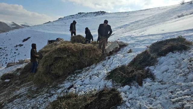 Erciş&rsquo;te asırlık kış mesaisi: Otlar kızaklarla k&ouml;ye taşınıyor 4
