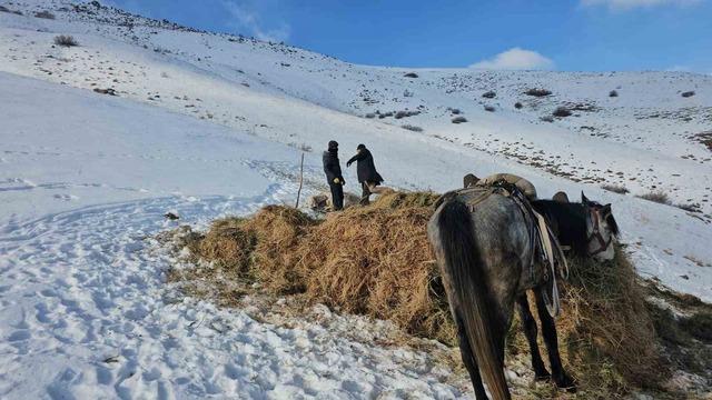 Erciş&rsquo;te asırlık kış mesaisi: Otlar kızaklarla k&ouml;ye taşınıyor 3