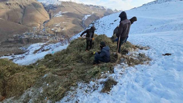 Erciş&rsquo;te asırlık kış mesaisi: Otlar kızaklarla k&ouml;ye taşınıyor 2