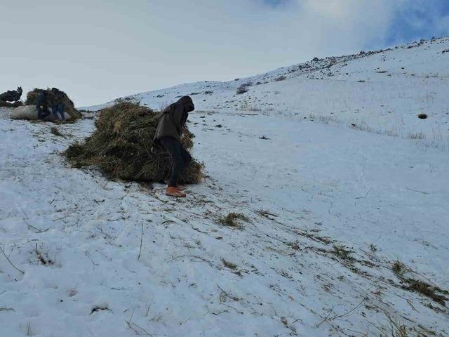 Erciş&rsquo;te asırlık kış mesaisi: Otlar kızaklarla k&ouml;ye taşınıyor