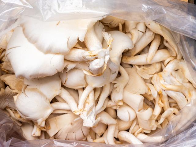 Hastanelik edeni de var direkt &ouml;ld&uuml;reni de