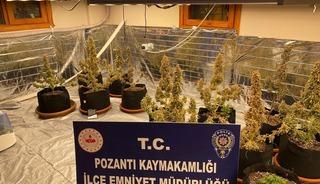 Villada uyuşturucu yetiştirmişler: Torbacı 'sevgililer' yakalandı, 4 kilo uyuşturucu ele ge&ccedil;irildi