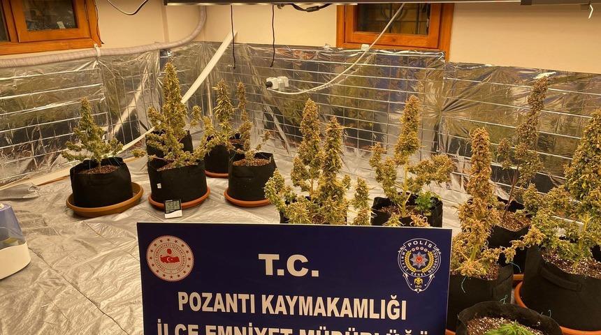 Villada uyuşturucu yetiştirmişler: Torbacı 'sevgililer' yakalandı, 4 kilo uyuşturucu ele ge&ccedil;irildi