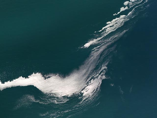 Van G&ouml;l&uuml; y&uuml;zeyindeki k&ouml;p&uuml;klenme şaşırttı