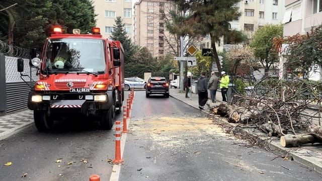 Kadıköy’de yola devrilen ağaç paniğe neden oldu
