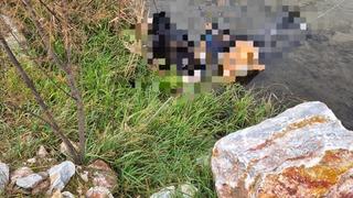 Trenin geçtiği köprüde hayatını kaybetti