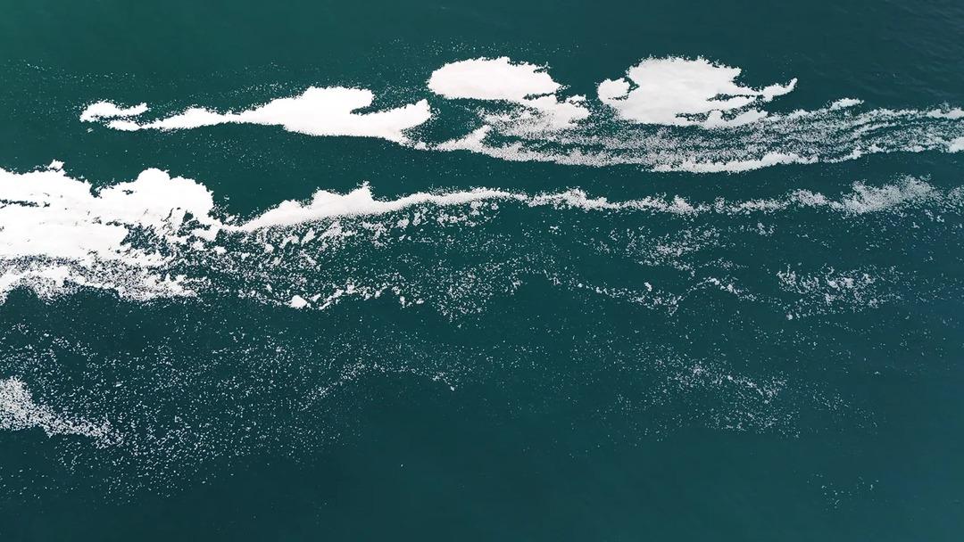 Van G&ouml;l&uuml; k&ouml;p&uuml;klendi! Nedeni ise merak edildi 1