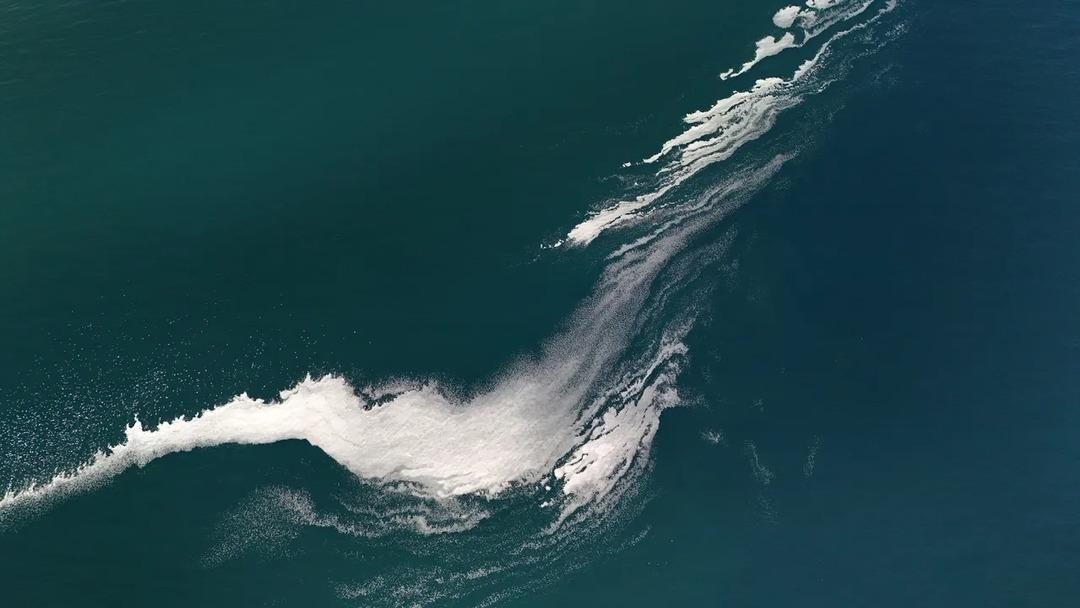 Van G&ouml;l&uuml; k&ouml;p&uuml;klendi! Nedeni ise merak edildi 2