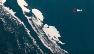 Van G&ouml;l&uuml; k&ouml;p&uuml;klendi! Nedeni ise merak edildi