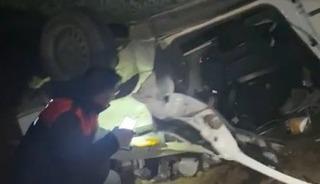 K&ouml;pekten ka&ccedil;mak isterken takla attı