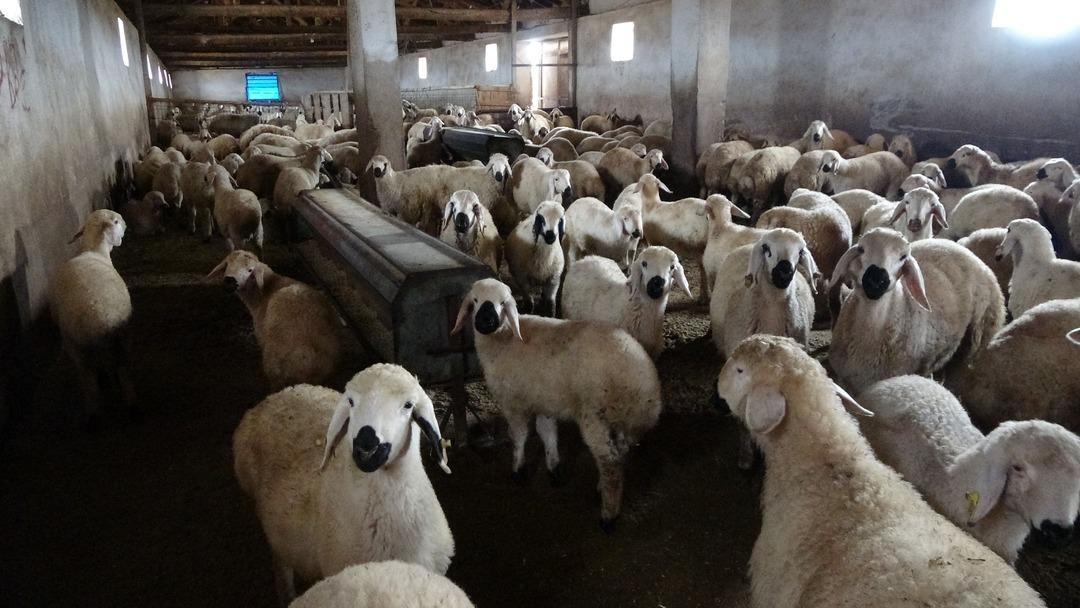 Babasıyla tartışıp başladı  Memur olsaydım bu kadar para kazanamazdım  1