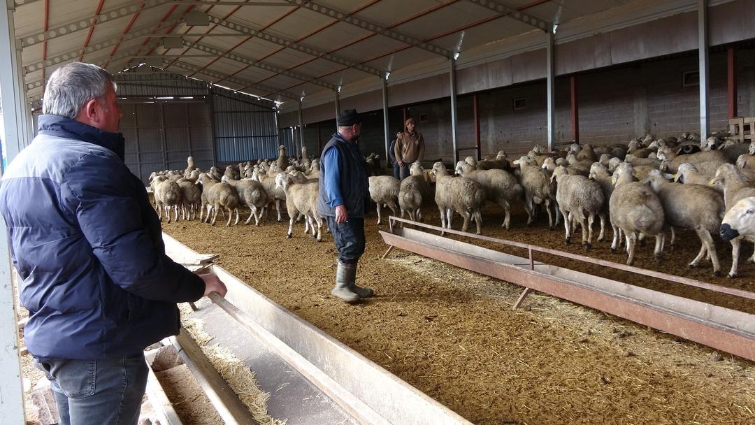 Babasıyla tartışıp başladı  Memur olsaydım bu kadar para kazanamazdım  2