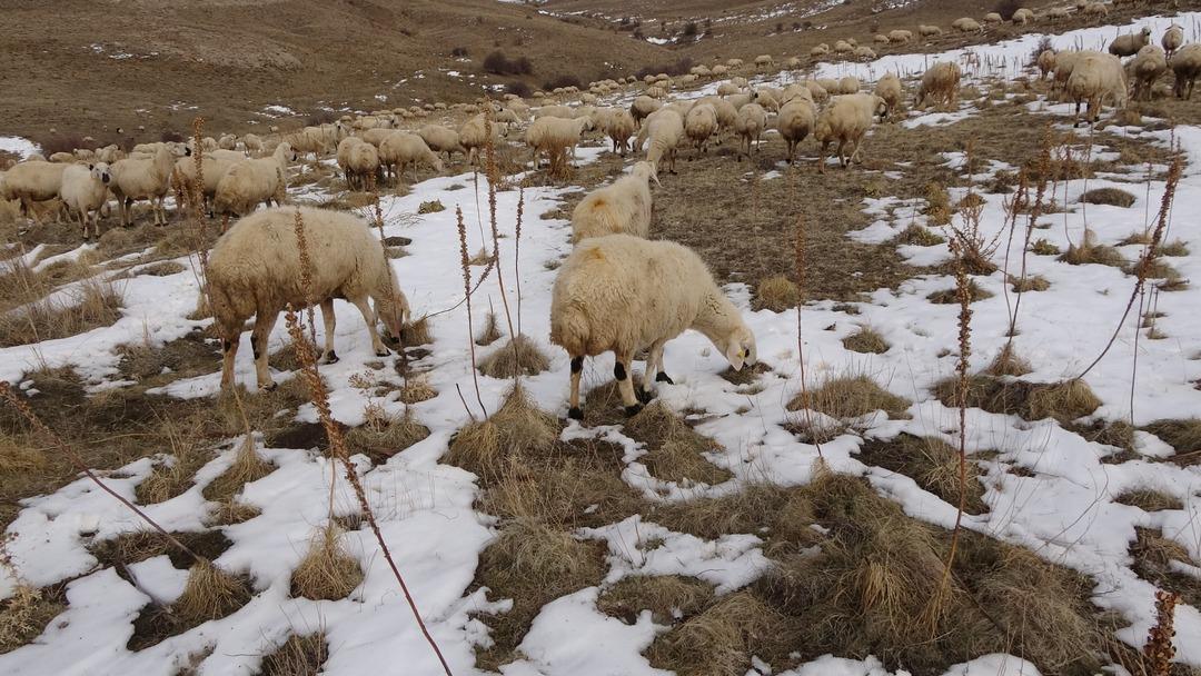 Babasıyla tartışıp başladı  Memur olsaydım bu kadar para kazanamazdım  3