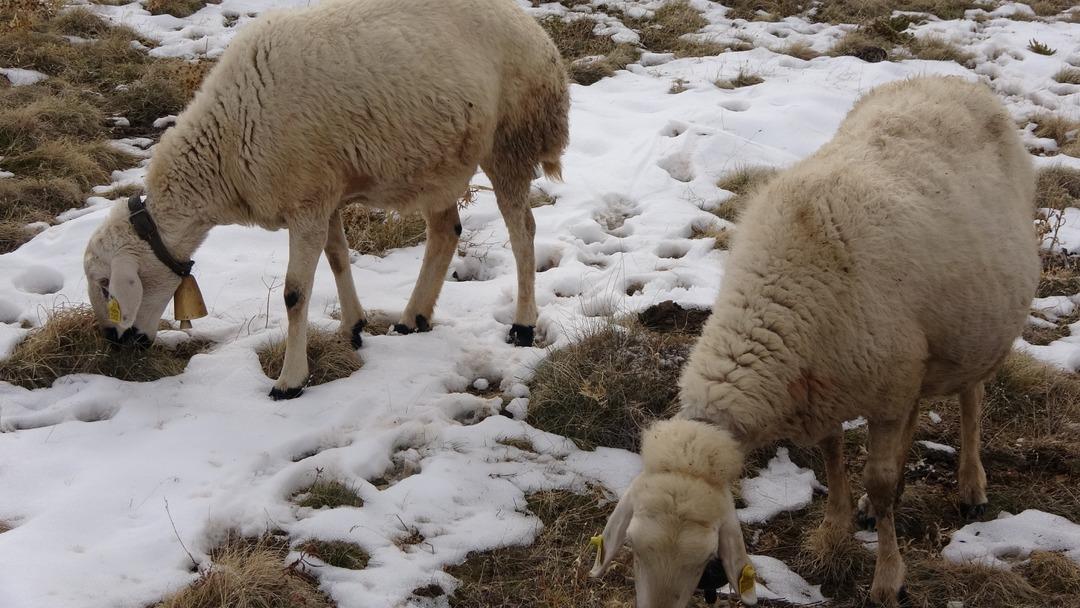 Babasıyla tartışıp başladı  Memur olsaydım bu kadar para kazanamazdım  4