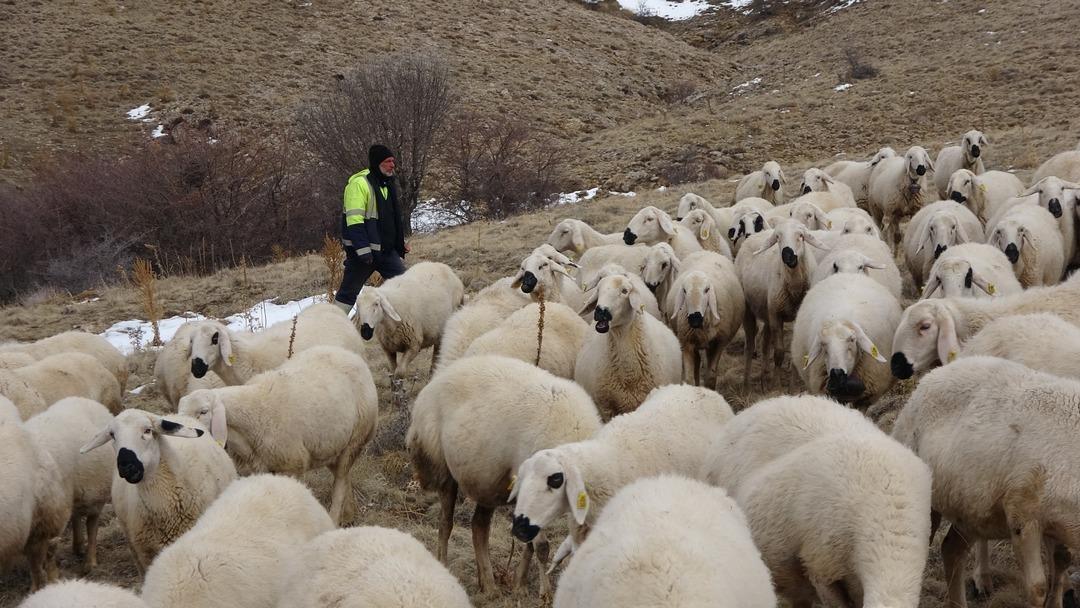 Babasıyla tartışıp başladı  Memur olsaydım bu kadar para kazanamazdım  5