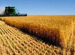 Çiftçiye kredi erteleme fırsatı!