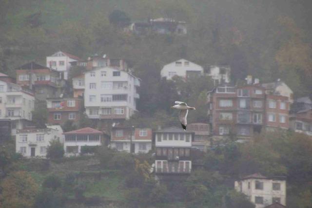 Ordu&rsquo;nun &lsquo;seyir terasında&rsquo; sis g&uuml;zelliği 2