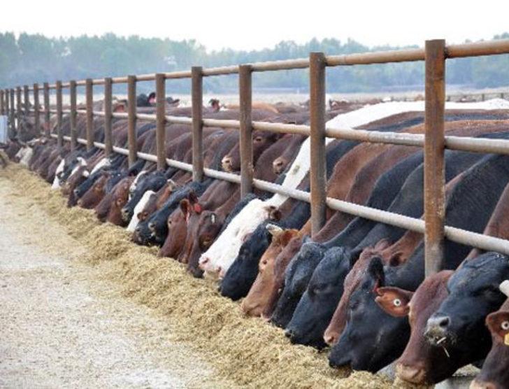 Marketler Kurban Bayramı'nda iş başında! G2