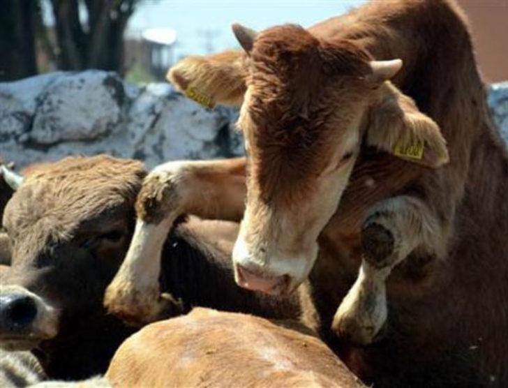 Marketler Kurban Bayramı'nda iş başında! G3