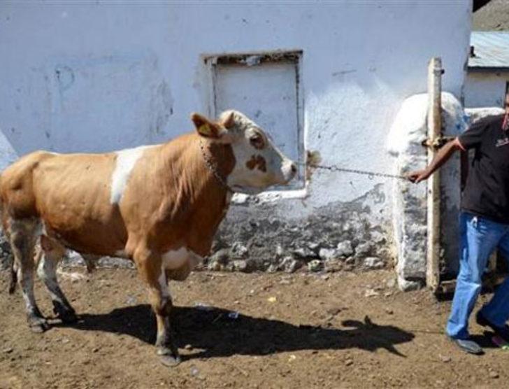 Marketler Kurban Bayramı'nda iş başında! G4