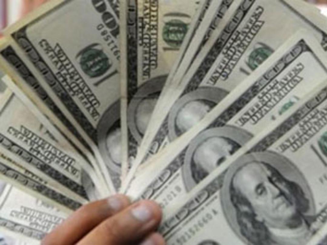 2014 dolar yılı olacak